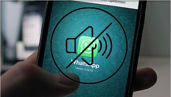 Cara Menggunakan Fitur Bisukan Di Aplikasi Whatsapp