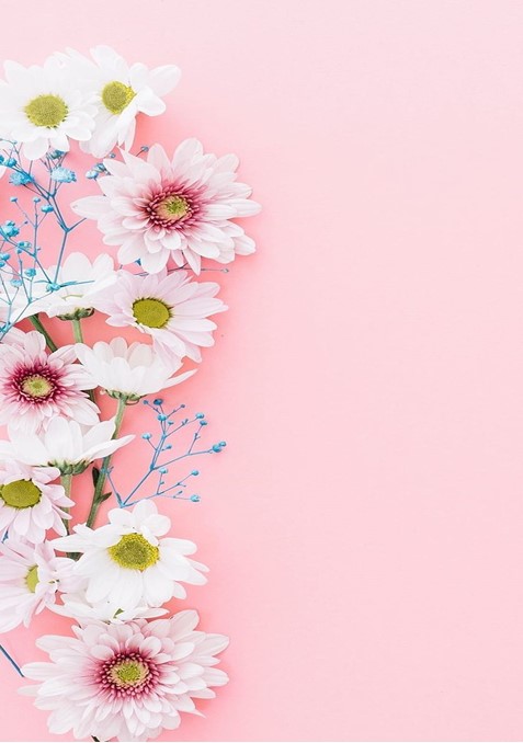 Wallpaper keren full layar bunga aesthetic 